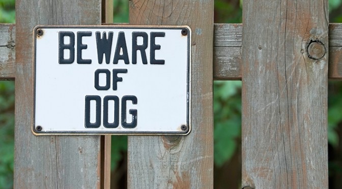 Dallas Dog Bite Lawyer