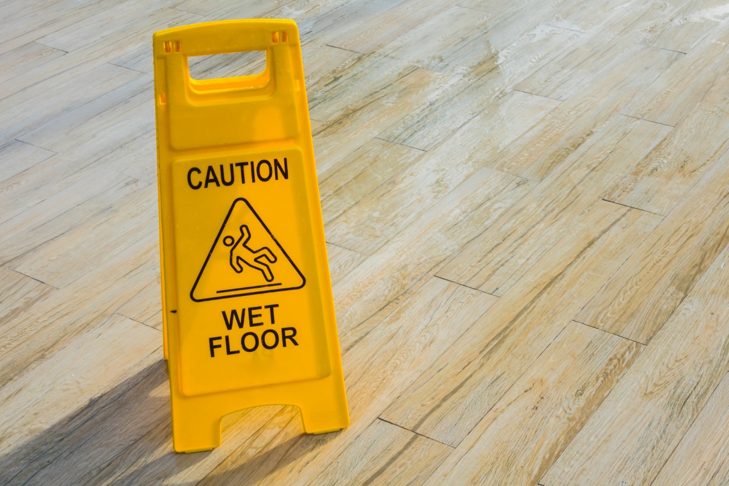 Slip and Fall