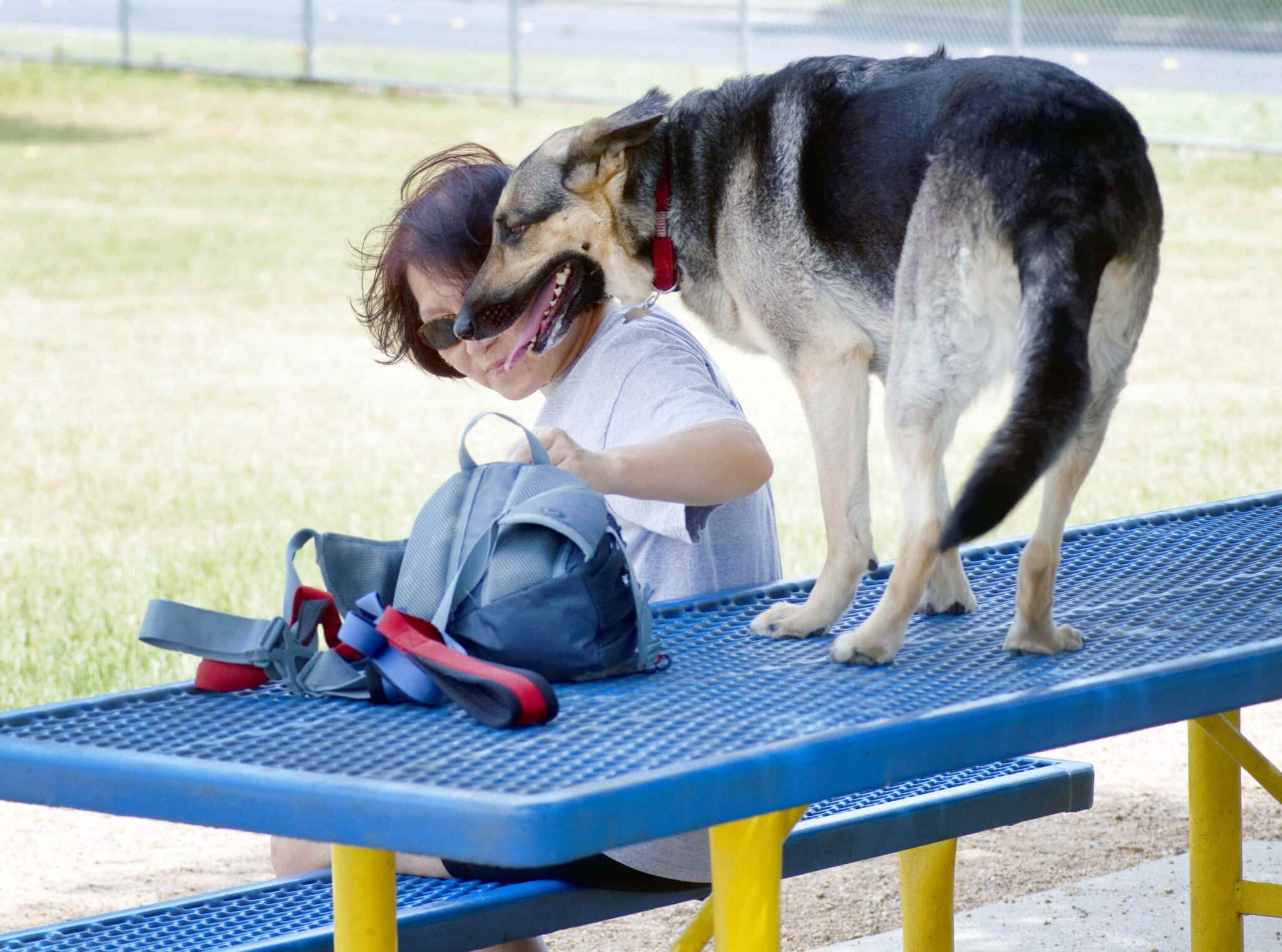 A woman and a dog in a Dallas park setting, relevant to local dog bite claims.