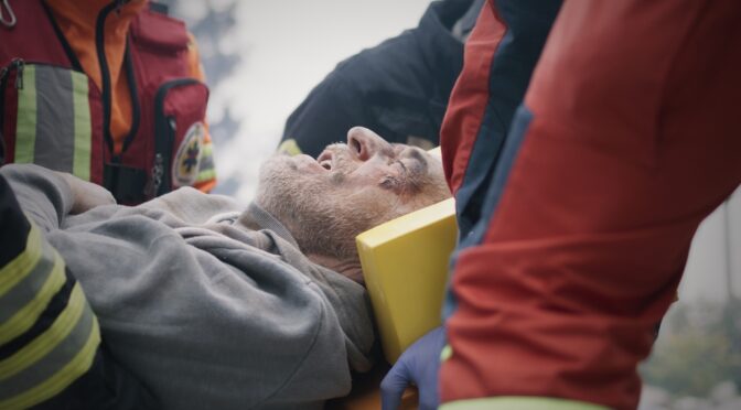 what is a catastrophic injury
