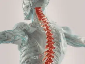 Specialists Who Treat Spinal Cord Injuries