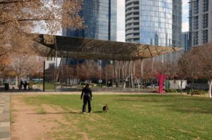 A person walking a dog on a leash in a Dallas park, illustrating local leash law compliance.